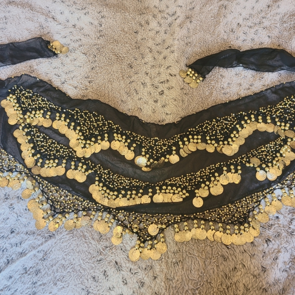 Black Chiffon Dangling Gold Coins Belly Dance Hip Scarf/Sash - Tiger Mist
